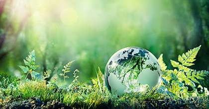 environmental_vision