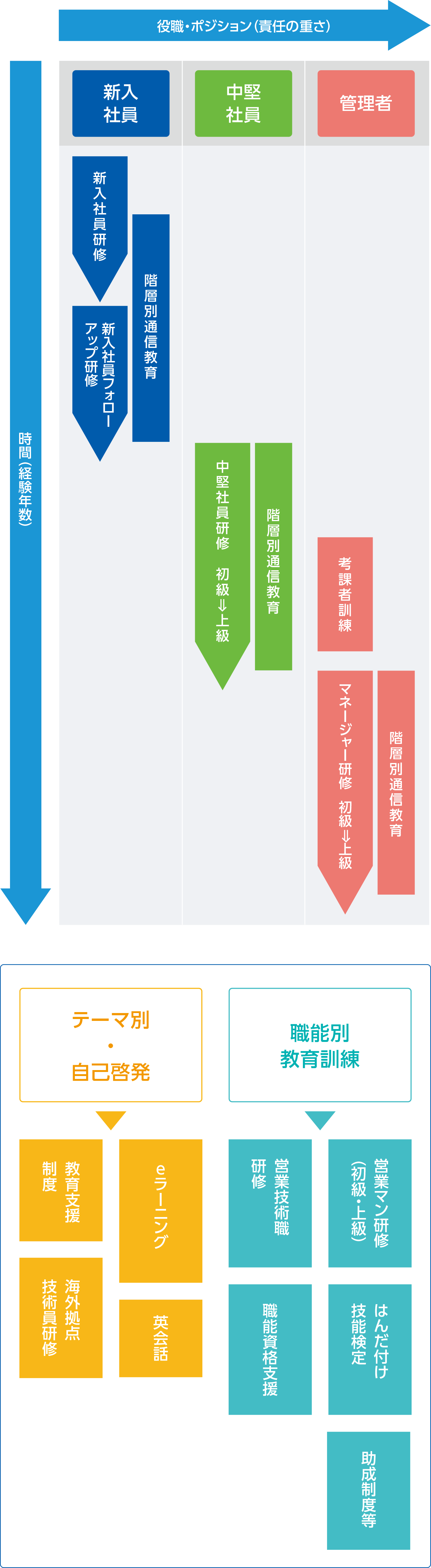 階層別教育イメージフロー図