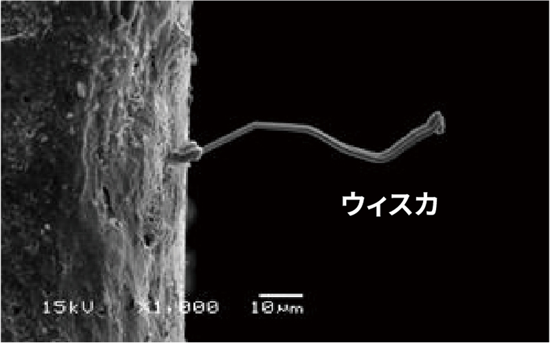 ハロゲンフリー（ROL0）でウィスカ低減